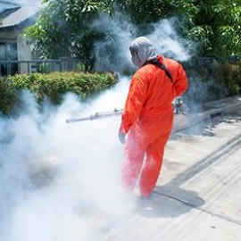 Fumigaction Services Image